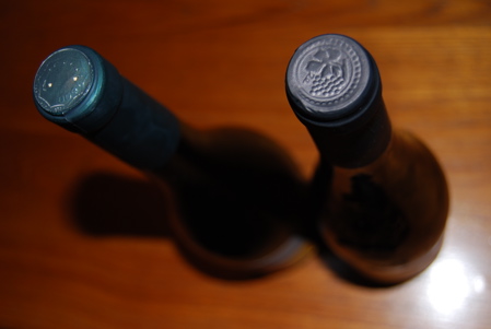 wine tasting tips